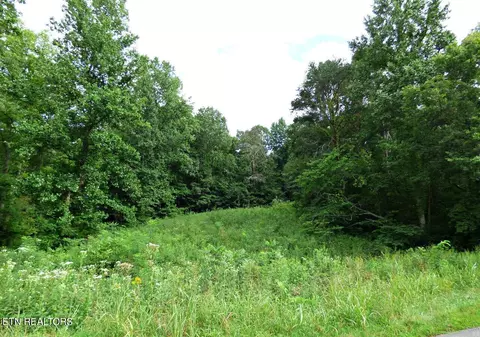 2 Dumplin Loop Rd, New Market, TN 37820