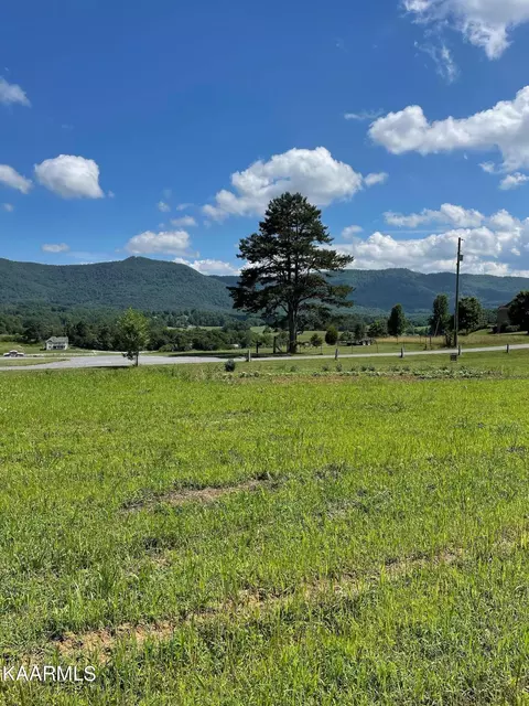 0 Alvey Hill Rd, Dandridge, TN 37725