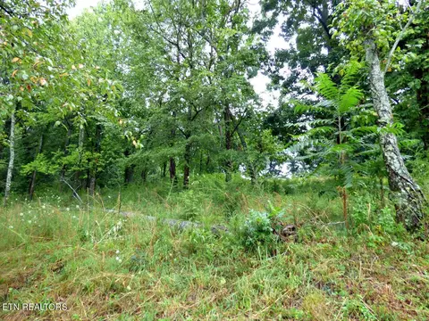 37 Stonehenge Way, Dandridge, TN 37725