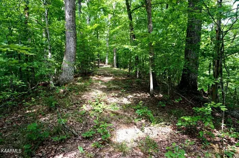 732 Mossy Hollow Rd, Baneberry, TN 37890
