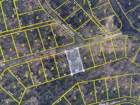 36 Buttonwood Dr, Sevierville, TN 37876