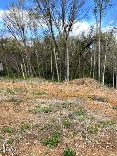 3 W Meeting St, Dandridge, TN 37725