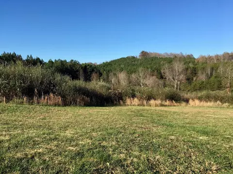 1288 Fork Rd, Greenback, TN 37742 photo 15