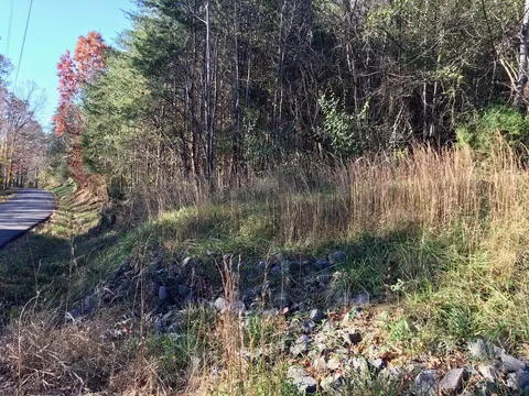 1288 Fork Rd, Greenback, TN 37742 photo 4