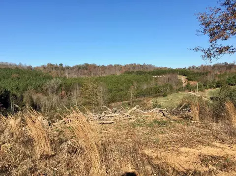 1288 Fork Rd, Greenback, TN 37742 photo 11