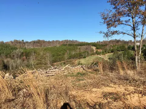 1288 Fork Rd, Greenback, TN 37742 photo 12