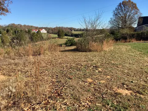 1288 Fork Rd, Greenback, TN 37742 photo 13