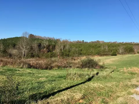 1288 Fork Rd, Greenback, TN 37742 photo 16