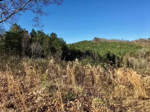 1288 Fork Rd, Greenback, TN 37742 photo 10