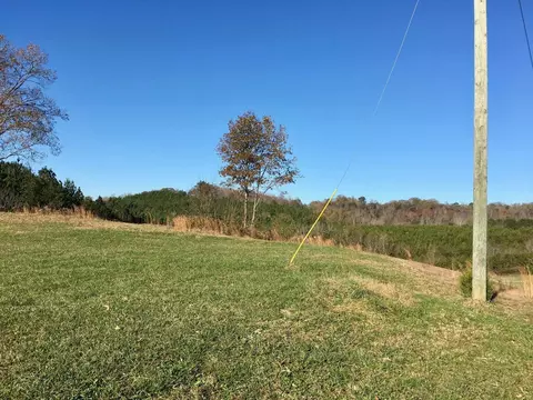 1288 Fork Rd, Greenback, TN 37742 photo 7
