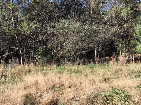 1288 Fork Rd, Greenback, TN 37742 photo 5