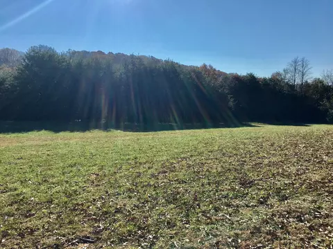 1288 Fork Rd, Greenback, TN 37742 photo 9