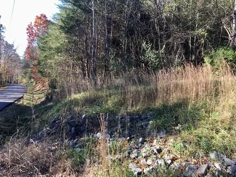 1288 Fork Rd, Greenback, TN 37742 photo 3