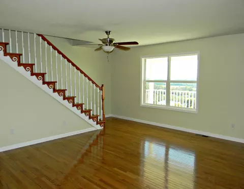 169 Scenic View Dr, Talbott, TN 37877 photo 11
