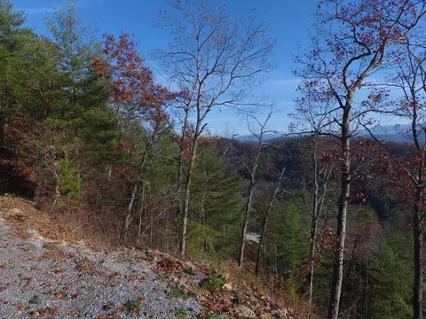 424 Mountain John Loop, Townsend, TN 37882 photo 32
