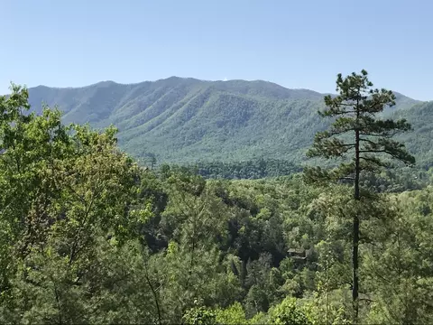 424 Mountain John Loop, Townsend, TN 37882 photo 1
