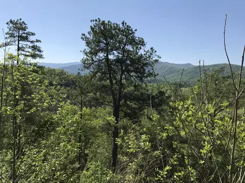 424 Mountain John Loop, Townsend, TN 37882 photo 2