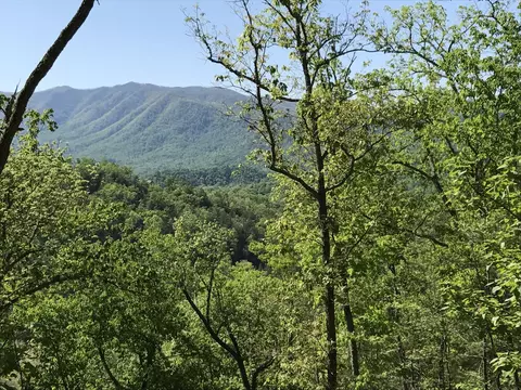 424 Mountain John Loop, Townsend, TN 37882 photo 5