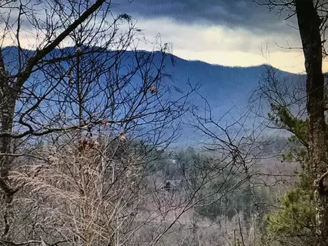424 Mountain John Loop, Townsend, TN 37882 photo 9