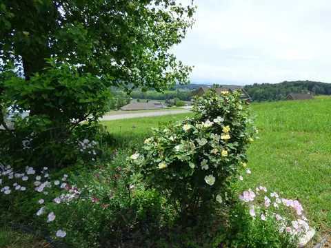 185 Scenic View Dr, Talbott, TN 37877 photo 8