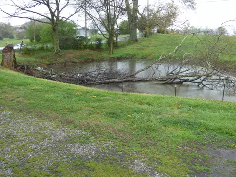 7167 Cedar Hill Rd, Talbott, TN 37877 photo 24