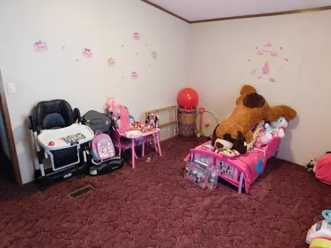657 Parsonage Rd, White Pine, TN 37890 photo 14
