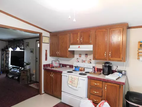 657 Parsonage Rd, White Pine, TN 37890 photo 6