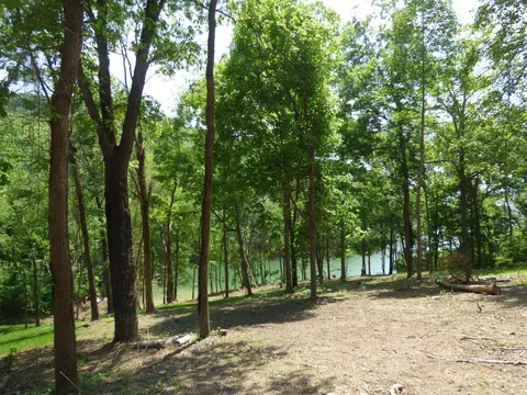 7447 Evolene Cir, Talbott, TN 37877 photo 2