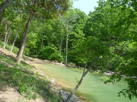7447 Evolene Cir, Talbott, TN 37877 photo 5