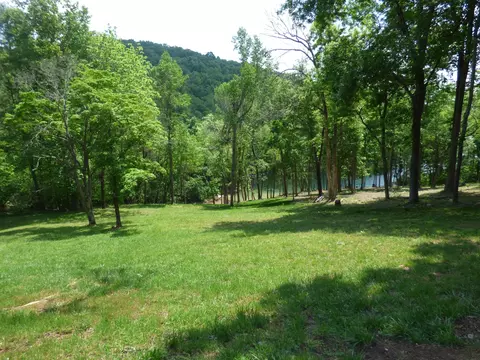 7447 Evolene Cir, Talbott, TN 37877 photo 6