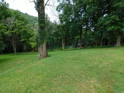 7447 Evolene Cir, Talbott, TN 37877 photo 9