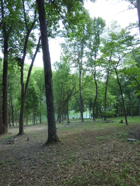 7447 Evolene Cir, Talbott, TN 37877 photo 4
