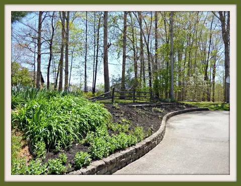 335 Devon Rd, White Pine, TN 37890 photo 35