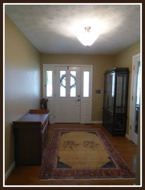 335 Devon Rd, White Pine, TN 37890 photo 8
