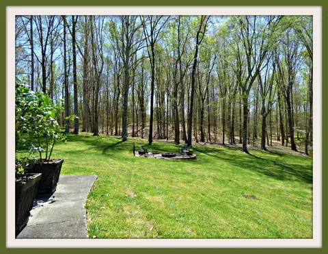 335 Devon Rd, White Pine, TN 37890 photo 36