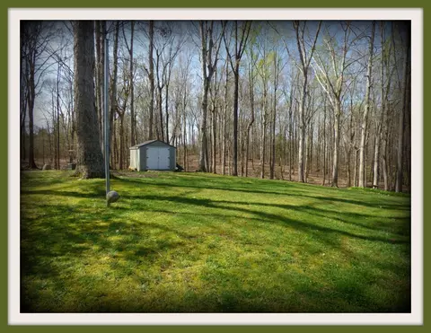 335 Devon Rd, White Pine, TN 37890 photo 32