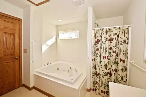 209 Stables Dr, Townsend, TN 37882 photo 16