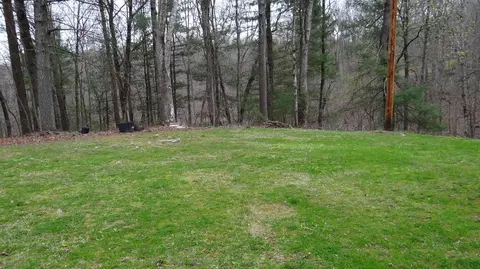 892 Sand Cut Rd, Oneida, TN 37841 photo 8