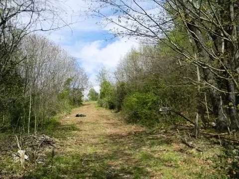 2576 Valley Home Rd, Talbott, TN 37877 photo 3