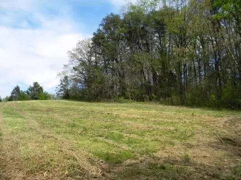 2576 Valley Home Rd, Talbott, TN 37877 photo 5