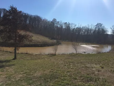 1271 Fork Rd, Greenback, TN 37742 photo 1