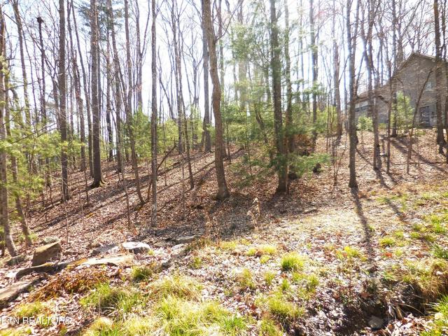 13 Lynhurst Cir, Crossville, TN 38558