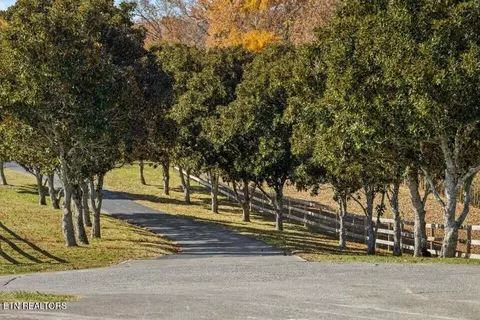 Other - 6130 James Cline Rd, Talbott, TN 37877 photo 2 of 12