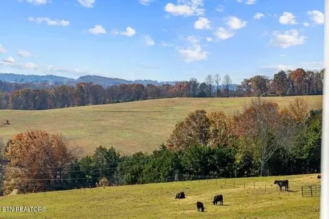 Other - 6130 James Cline Rd, Talbott, TN 37877 photo 5 of 12
