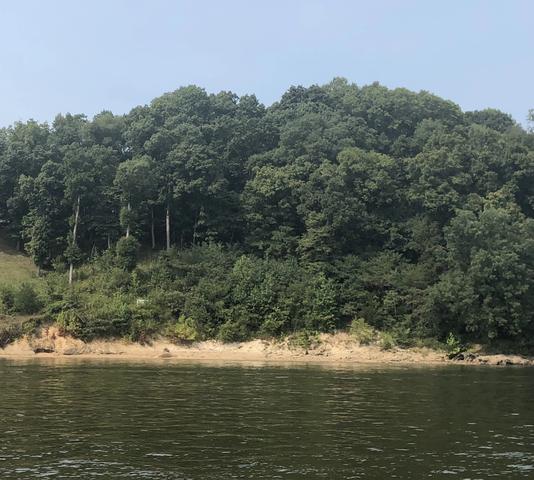 0 River Bluff Ln, Bath Springs, TN 38311
