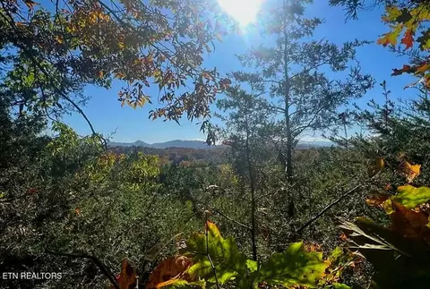 0 Manning Hollow Rd, Sevierville, TN 37862