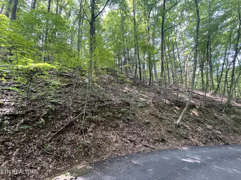 334 Ridgefield Dr, Sevierville, TN 37876