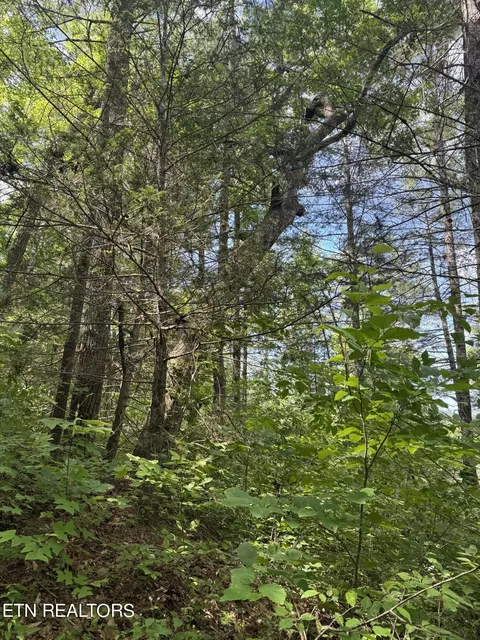0 Tall Pines Way, Sevierville, TN 37876