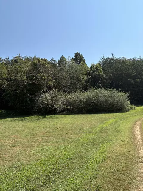 0 John Kirkland Rd, Tellico Plains, TN 37385
