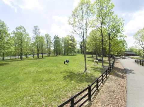 76 Tranquil Trl, Dunlap, TN 37327 photo 68